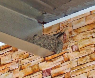 Прикрепленное изображение: 008-1.jpg